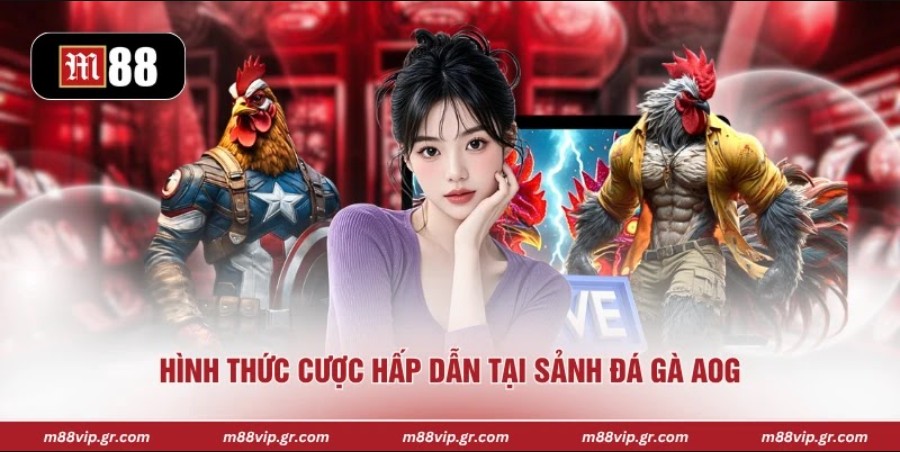 AOG Đá Gà - Sân Chơi Đầy Kịch Tính Và Siêu Lôi Cuốn 2026 Hình thức cược hấp dẫn tại sảnh đá gà AOG