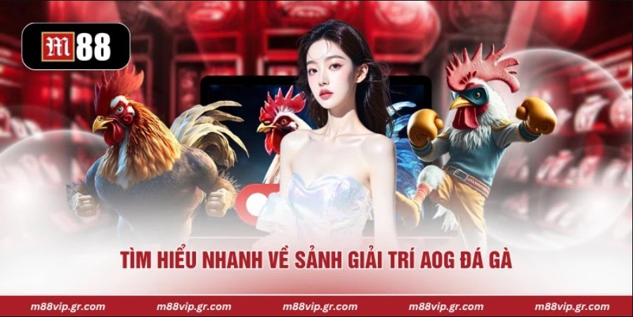 AOG Đá Gà - Sân Chơi Đầy Kịch Tính Và Siêu Lôi Cuốn 2026 Tìm hiểu nhanh về sảnh giải trí AOG đá gà